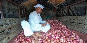 Red Onion