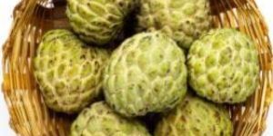 Custard Apple