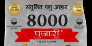 Pujari Feed 8000 Cattle Feed