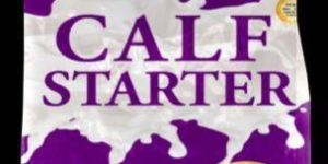 Pujari Feed Calf Starter