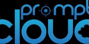 Web Scraping Service