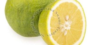 Fresh Green Sweet Lime