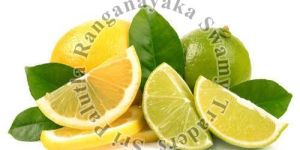 Fresh Natural Lemon