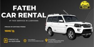 Car Rental Companies