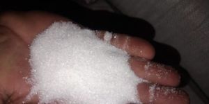 White Sugar