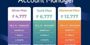 Social Media Account Manager