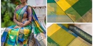 Multi Color Kanchipuram Silk Saree