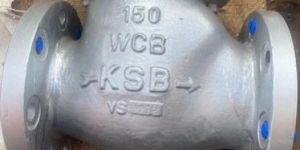 Swing Check Valve