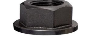 Mild Steel Flange Nut