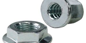 Stainless Steel Flange Nut