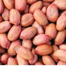 Groundnut Kernels