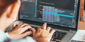 Web Development Services