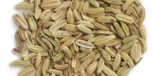 Fennel Seeds