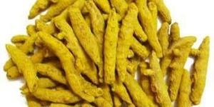Madras Turmeric Finger