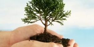 Solid Waste Management