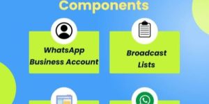 WhatsApp Marketing Service