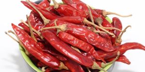 Guntur Dry Red Chilli