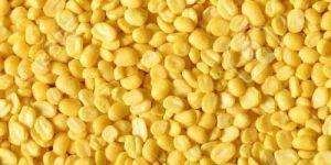 Yellow Moong Dal
