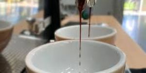 Liquid Roasted Coffee Flavour