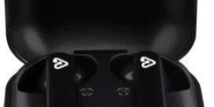 True Wireless Earbud