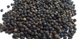 Black Pepper Seeds