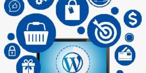 Wordpress Development Services