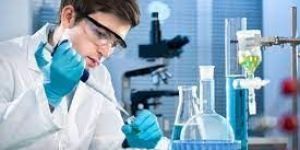Building Chemical Material Testing Service