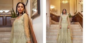 Bela Sabhyata Net Embroidery Gown