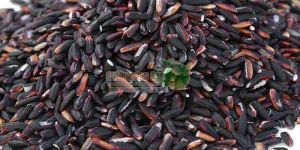 Black Rice