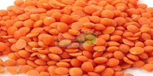 Red Masoor Dal