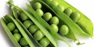 Fresh Green Peas