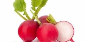Fresh Red Round Radish