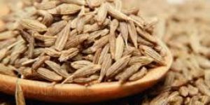 Cumin Seeds
