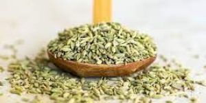 Fennel Seeds
