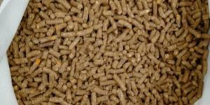 Groundnut Pellet (Cattle Feed)