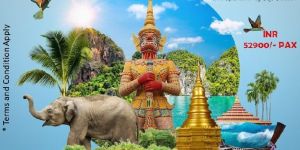 INTERNATIONAL TOUR PACKAGES Service