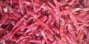Dry Red Chilli