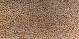 Masoor Dal