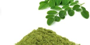 Moringa Leaves Powder
