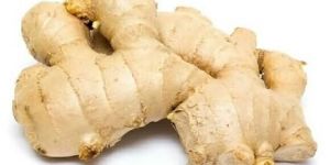 Fresh Raw Ginger