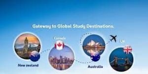 Overseas Education Services