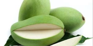 a Grade Raw Green Mango
