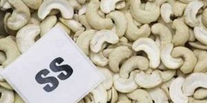 SS Cashew Nuts
