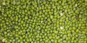 Green Moong Dal