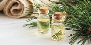 Pine Essential Oil