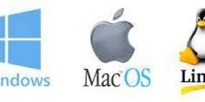 Window Installation Service