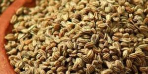 Carom Seeds