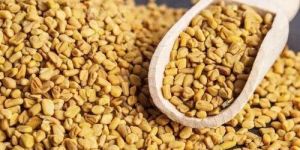 Fenugreek Seeds