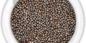 Mustard Seeds