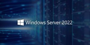 Microsoft Windows Server
